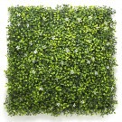 Пано изкуствена зелена декорация My Garden Boxwood Jasmine 50х50см 