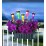 Соларна лампа за градина с променящи се цветове SS-6012 LED