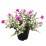 Изкуствено цвете в саксия My Garden KD07154 Бонзай 18см