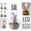 LED декорация растения и камъни лампа 