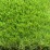 Изкуствена трева My Garden Shining Star 30-2m / 30мм / ширина 2м 