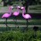 Соларна лампа Фламинго My Garden STL-7193-3 / 3 броя