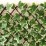 Декоративна ограда от бяло-зелен бръшлян My Garden IVY White Green РЕVA 90х180см