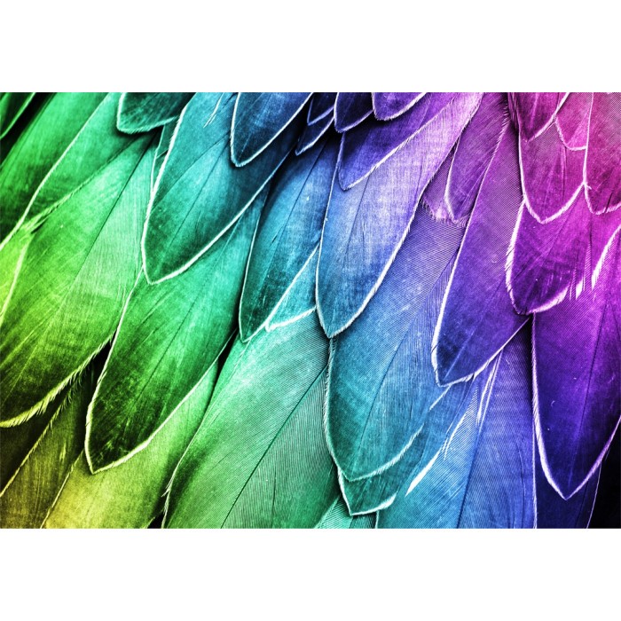 Картина Canvas FCV-547 разноцветни пера 89x59cm