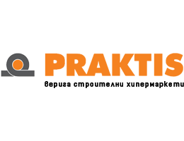 лого на Praktis