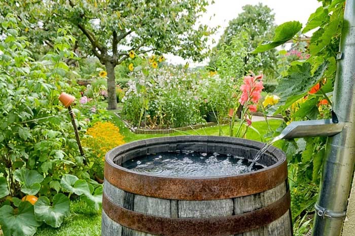 10 съвета за напояване на градината